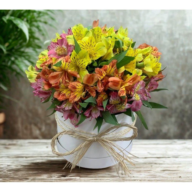 Arranjo na Caixa com Astromélias Coloridas